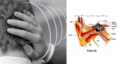 持續耳鳴怎麼辦|耳朵嗡嗡叫，持續耳鳴怎麼辦？一文看懂「耳鳴」的8。